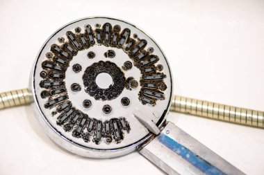 Banyoda küflü pis hijyenik duş başlığı..