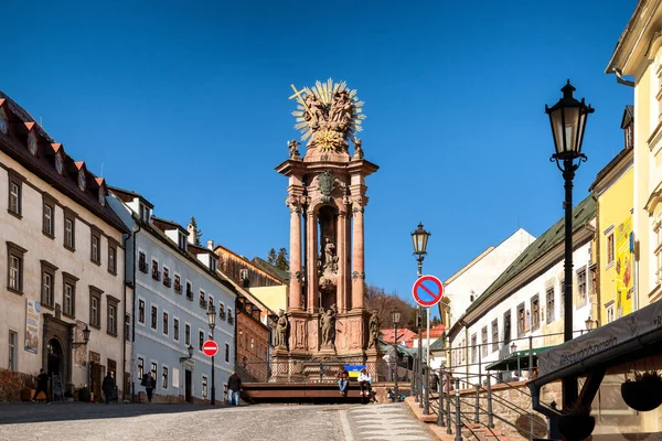 Banska Stiavnica Slovensko February 2022 Plakový Sloup Historickém Centru Města — Stock fotografie