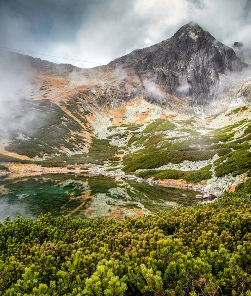 Slovakya 'daki yüksek Tatras dağlarında çam, göl ve zirve. Tarn Skalnatif pleso ve Lomnicky stit zirvesi