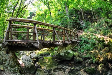 Ormandaki tahta köprü.