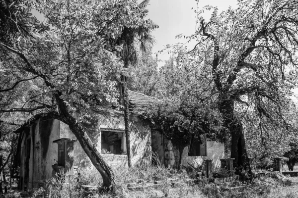 Dilapidated Destroyed House Black White Photo — Fotografia de Stock