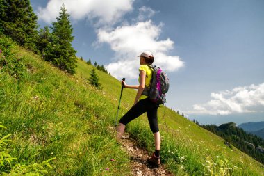 Slovakya 'daki Low Tatras dağlarında dağ yolunda yürüyüş direkleri olan kadın yürüyüşçü