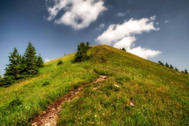 hiking trail leading to the top of the hill Sina in Low Tatras mountains at Slovakia