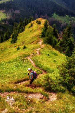 Tourist woman on hiking trail in hillside of Low Tatras mountains at Slovakia