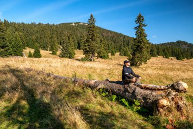 Ağaçların gövdesinde oturan yürüyüşçü yoga pozisyonunda ve güzel sonbahar ormanlarında dinleniyor..