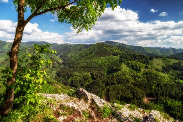 View Rock Formation Called Katova Skala Great Fatra Mountains Slovakia — Stok fotoğraf