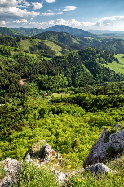 Kilátás Szikla Alakzat Nevű Katova Skala Nagy Fátra Hegység Szlovákia — Stock Fotó