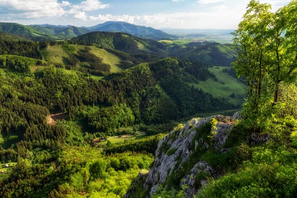 View Rock Formation Called Katova Skala Great Fatra Mountains Slovakia — Stok fotoğraf