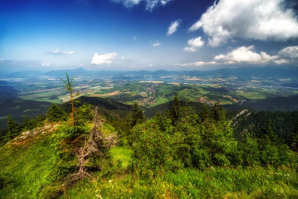 Beautiful Csummer Country Landscape View Hill Sina Lake Liptovska Mara — 스톡 사진