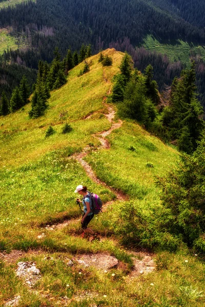 Tourist Woman Hiking Trail Hillside Low Tatras Mountains Slovakia — Fotografia de Stock