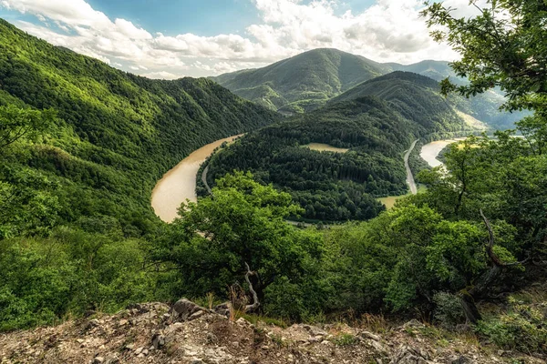 Domasin Meander River Vah Slovakia — Stockfoto