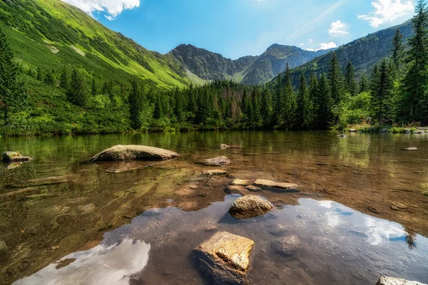 Reflection Peaks Water Surface Lake Tatliakovo Jazero Summer Mountain Landscape — Stockfoto