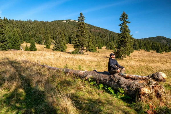 Ağaçların gövdesinde oturan yürüyüşçü yoga pozisyonunda ve güzel sonbahar ormanlarında dinleniyor..