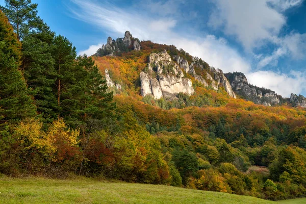 Färgglada Träd Höstskogen Vid Sulovs Klippor Hösten Bergslandskap Slovakien Vandringstema — Stockfoto