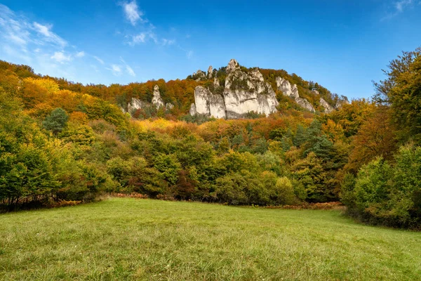 Кольорові Дерева Османських Лісах Суловських Скелях Гірський Ландшафт Осені Словаччині — стокове фото