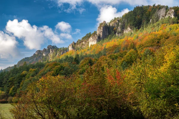 スロフの岩で秋の森の中のカラフルな木 スロバキアの秋の山の風景 ハイキングのテーマ — ストック写真