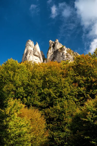 Colorful Trees Autmn Forest Sulov Rocks Autumn Mountain Landscape Slovakia — Stock fotografie
