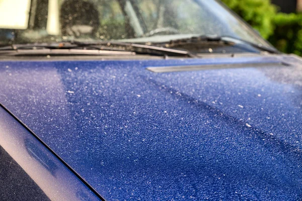 Pollen Car Body Allergy Season — Stock Photo, Image