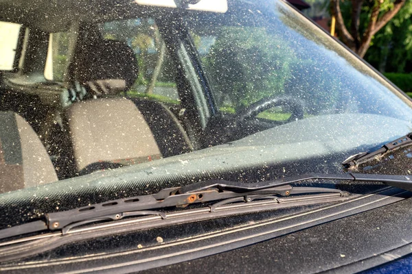 Allergy Season Car Windshield Covered Tree Pollen Spring — Stock Fotó