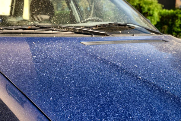 Pollen Covering Hood Car Springtime — Stock Photo, Image