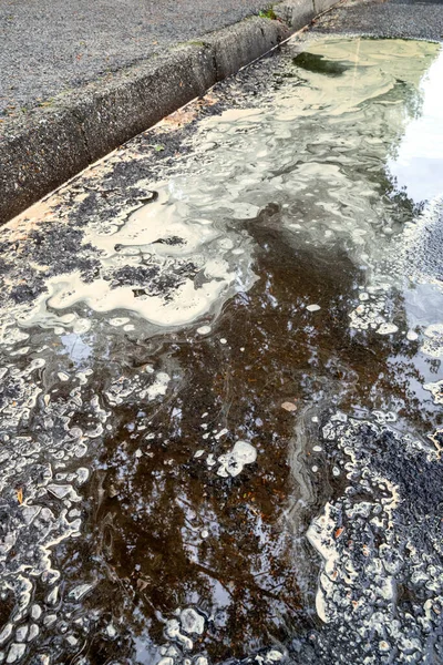 Yellow Pollen Water Asphalt Road Allergic Season — Stock Photo, Image