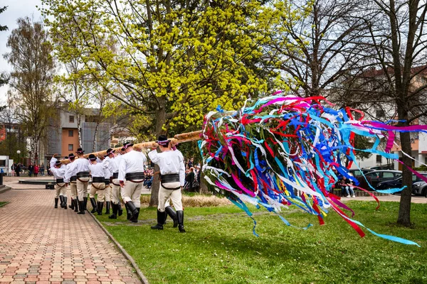 Ruzomberok Eslovaquia Mayo 2022 Poner Los Maypoles Una Costumbre Popular — Foto de Stock