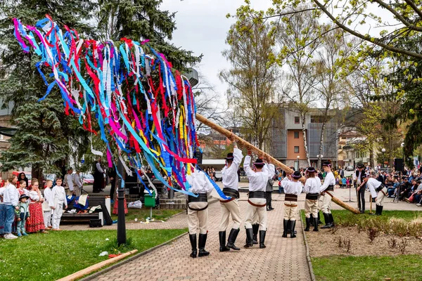 Ruzomberok Slovakia 2022年5月1日 在斯洛伐克的一个传统民俗中树立起长杆 — 图库照片