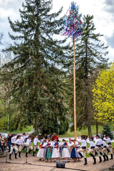 Ruzomberok Slovakia 2022年5月1日 在斯洛伐克的一个传统民俗中树立起长杆 — 图库照片