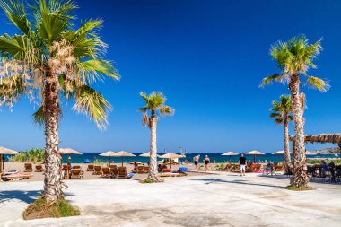 FALIRAKI, GREECE - 29 Haziran 2022: Rodos adasındaki Faliraki tatil beldesinde palmiye ağaçları