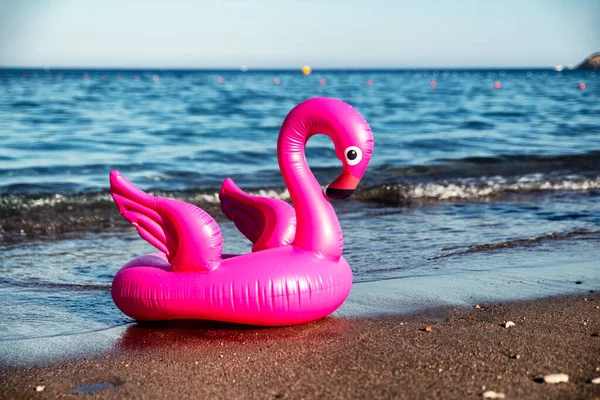 Inflatable Pink Flamingo Sandy Beach Sea Background — Zdjęcie stockowe