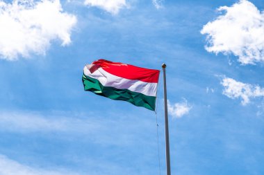 Direkte Macar bayrağı sallıyor. Macaristan