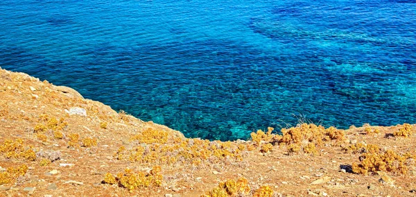 Crystal Clear Blue Water Sea Dry Coast — Zdjęcie stockowe