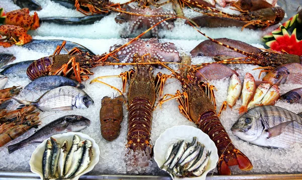 Frozen fresh seafood in the market.