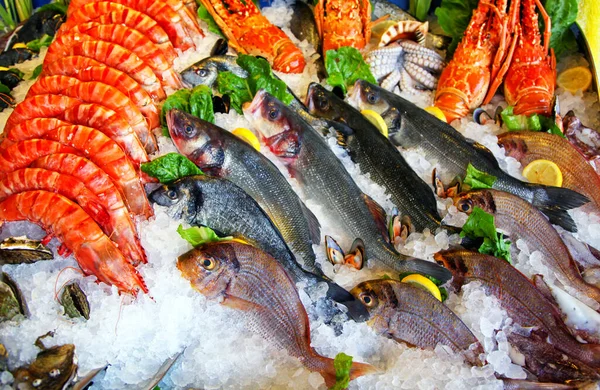 Frozen fresh seafood in the market.