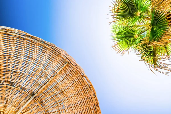 Relax Summer Vacation Parasol Hot Sunny Day Palm Tree Background — Zdjęcie stockowe