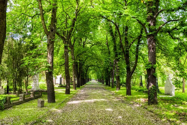 Budapest Hungría Mayo Kerepesi Cementerio Histórico Mayo 2017 Budapest —  Fotos de Stock