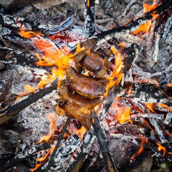 Delicious Grill Sausage Campfire Camping Nature Outdoor Summer Activity — Photo