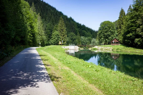 Reflexão Árvores Coníferas Reservatório Floresta Vale Chamado Lubochnianska Dolina Eslováquia — Fotografia de Stock