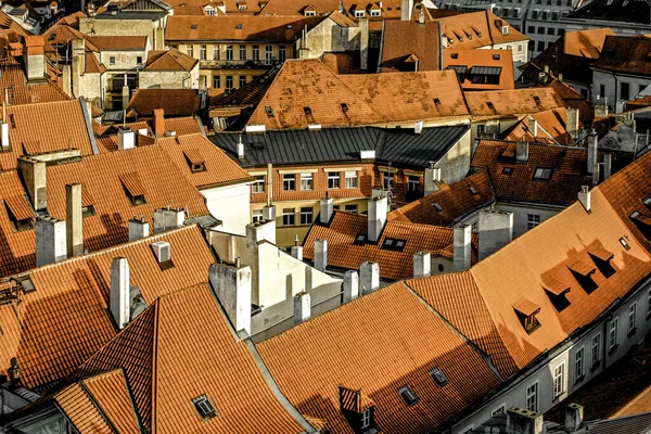 Red Roofs Buildings City Prague Czech Republic — Stock Photo, Image