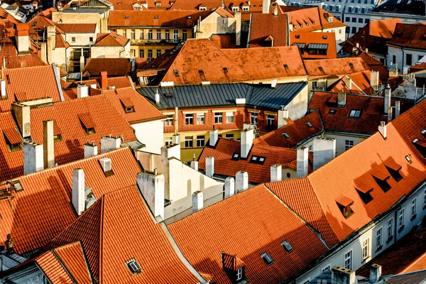 Red roofs of buildings in city Prague in Czech republic