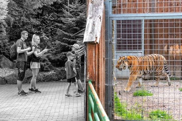 Spisska Nova Ves Slovakia July 2022 Family Standing Zoo Looking — 스톡 사진