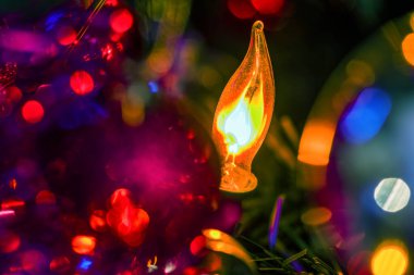 Noel ışığı süslenmiş Noel ağacında parlıyor..