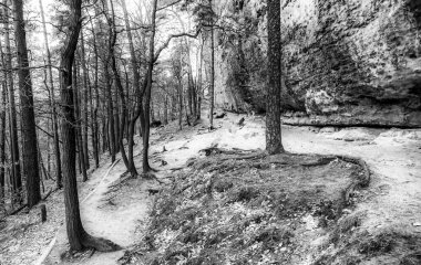 Bohem İsviçre'da yürüyüş