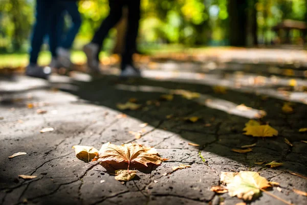 Kleurrijk Herfstblad Grond Het Park Benen Van Wandelende Mensen Achtergrond — Stockfoto