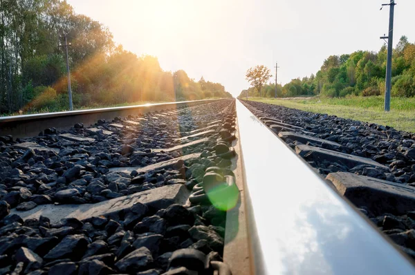 Railroad Tracks Stretching Distance Horizon Flooded Sunlight — Stock Photo, Image