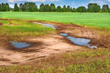 Kırsal yoldaki su birikintileri tarla boyunca otların arasında.