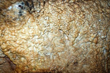 Kırım, Ukrayna. Sarkıtlar, Emine-Bair-Khosar mağarasının duvarlarında dikitler. Tasarım şablonu. Seçici keskinlik. Yaz dönemi.