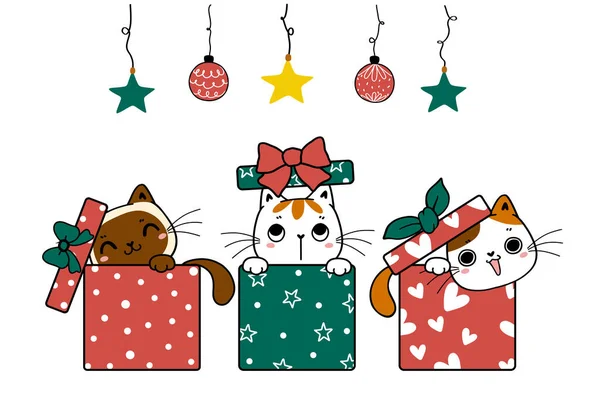 Grupo Gato Bonito Gatinho Brincalhão Procurar Escondeu Caixas Natal Desenho — Vetor de Stock