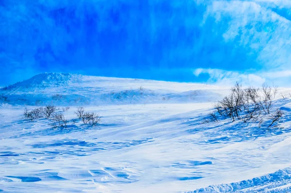 Rússia, a Península de Kamchatka. Freeride esqui em vulcões . — Fotografia de Stock