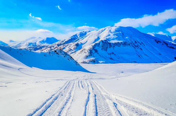 Rusia, la península de Kamchatka. Freeride esquiando en volcanes . —  Fotos de Stock